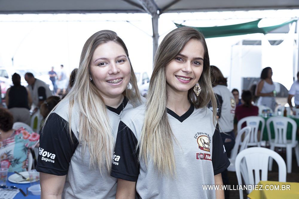 Porco-no-rolete-fiat-padova-sertaozinho