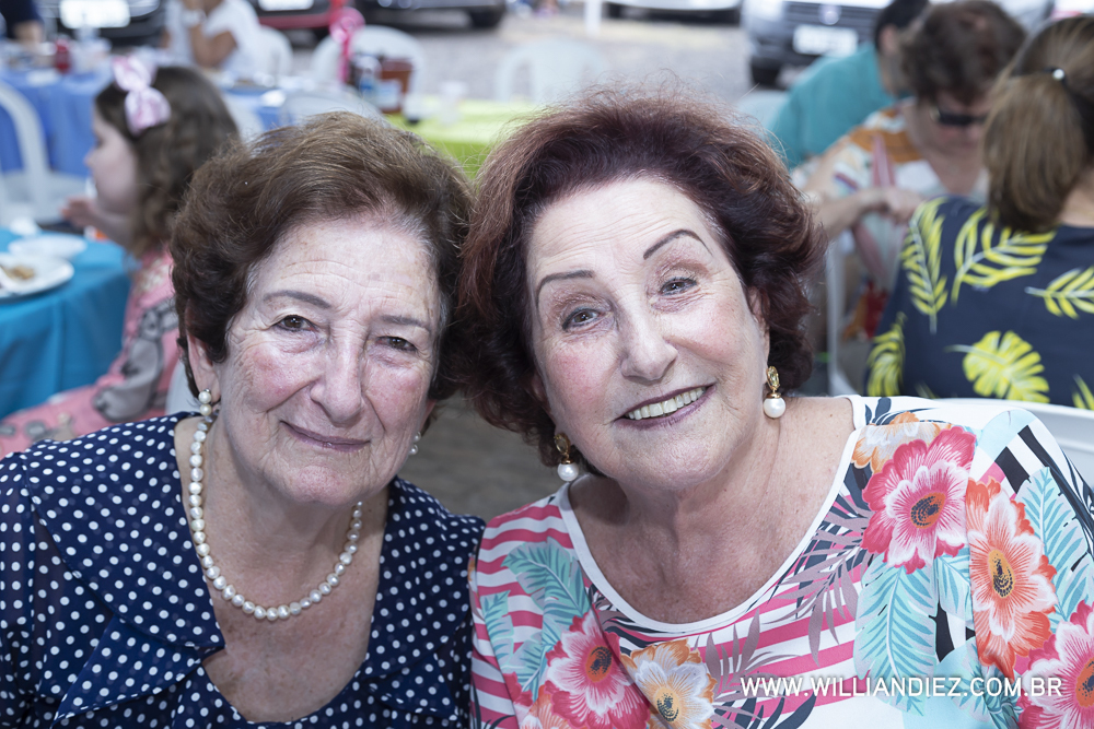 Porco-no-rolete-fiat-padova-sertaozinho