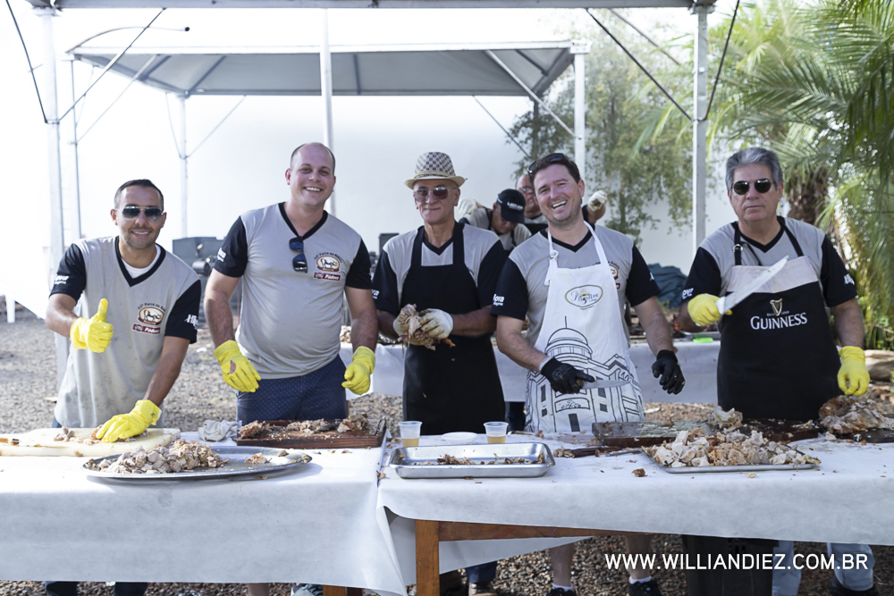 Porco-no-rolete-fiat-padova-sertaozinho