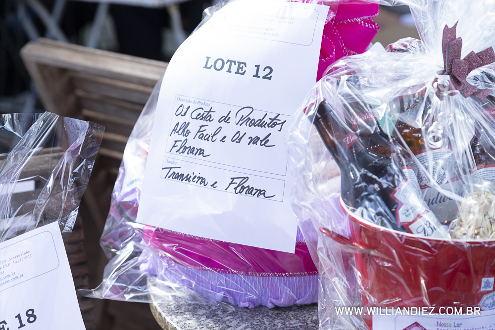 Porco-no-rolete-fiat-padova-sertaozinho