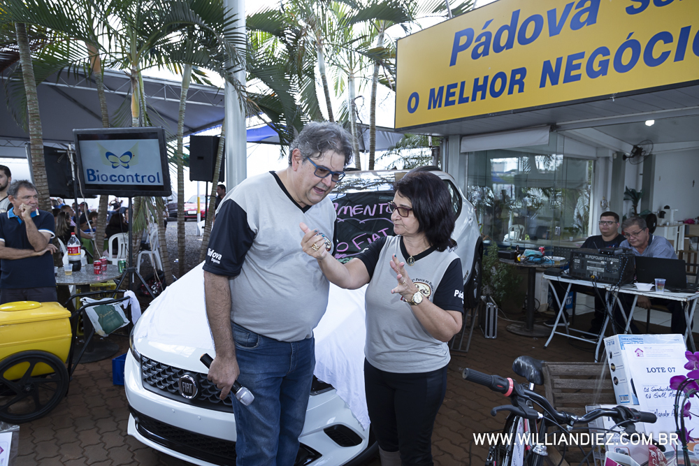 Porco-no-rolete-fiat-padova-sertaozinho