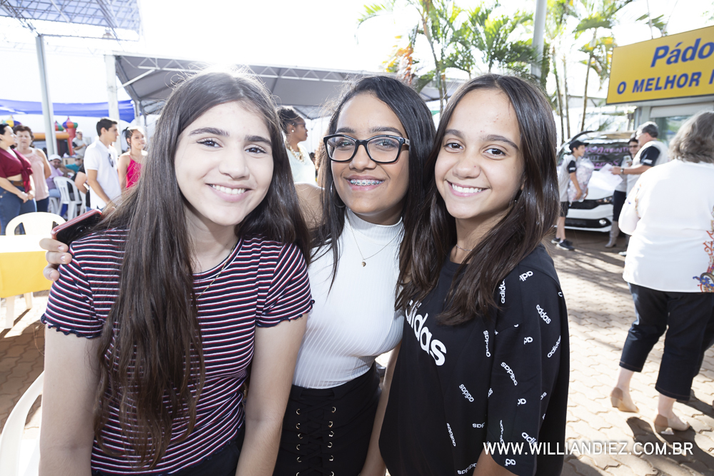 Porco-no-rolete-fiat-padova-sertaozinho