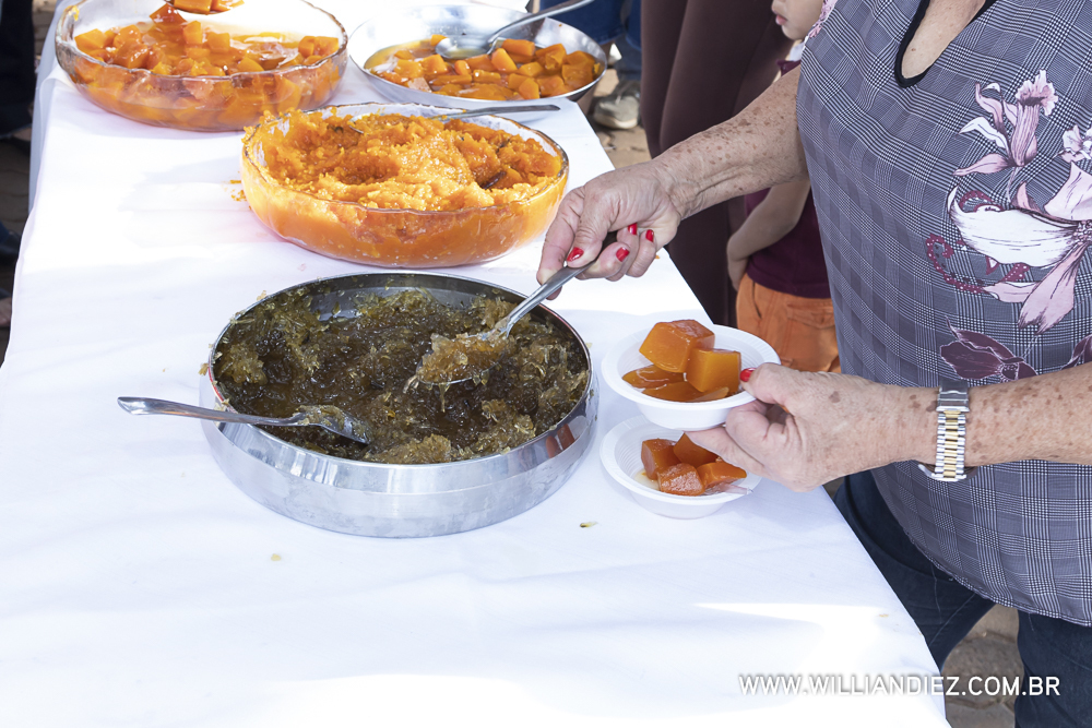Porco-no-rolete-fiat-padova-sertaozinho