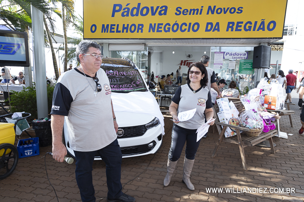 Porco-no-rolete-fiat-padova-sertaozinho