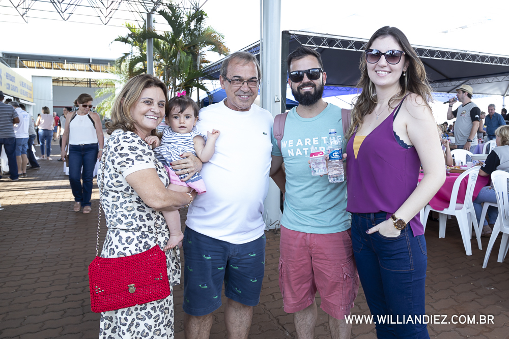 Porco-no-rolete-fiat-padova-sertaozinho