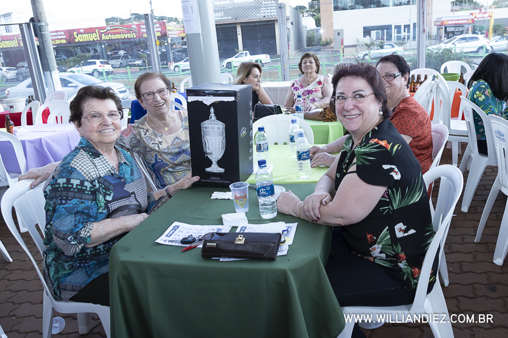 Porco-no-rolete-fiat-padova-sertaozinho