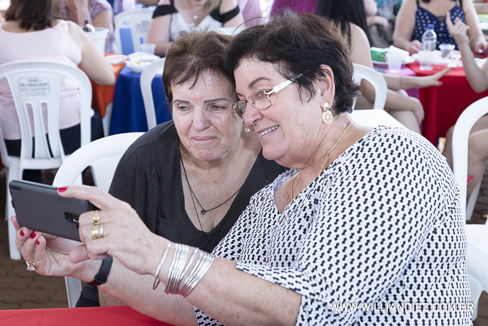 Porco-no-rolete-fiat-padova-sertaozinho