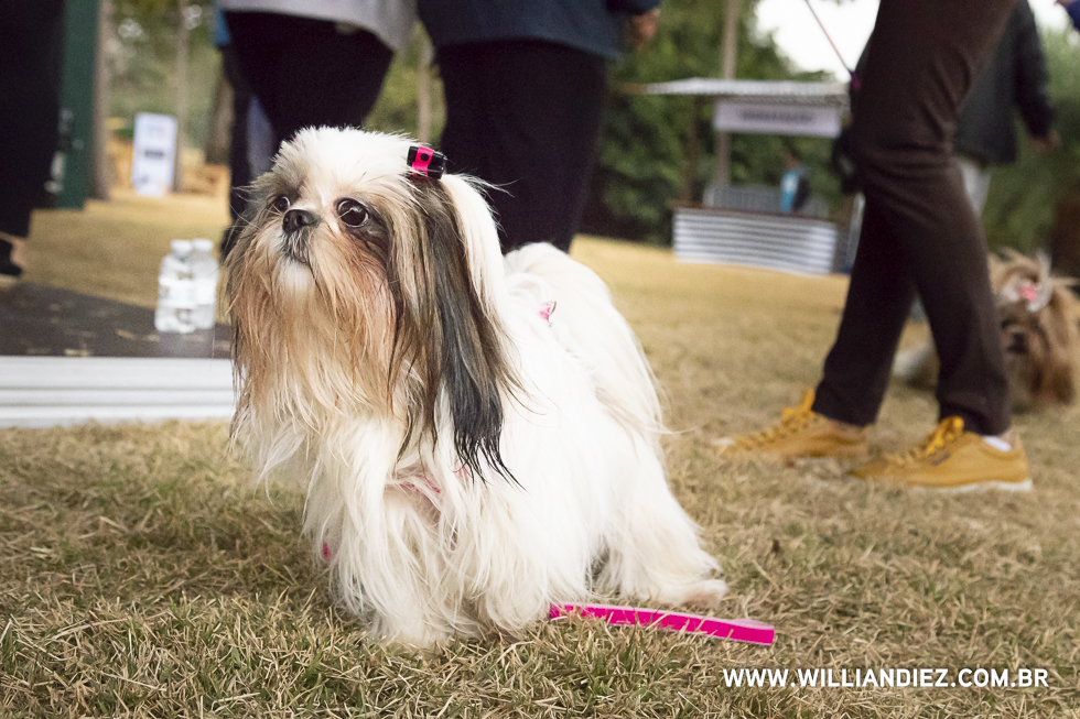 parada-pet-olhos-da-agua-ribeirao-preto