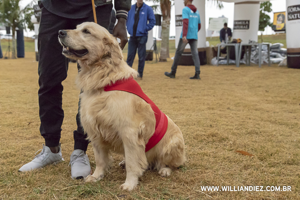 parada-pet-olhos-da-agua-ribeirao-preto