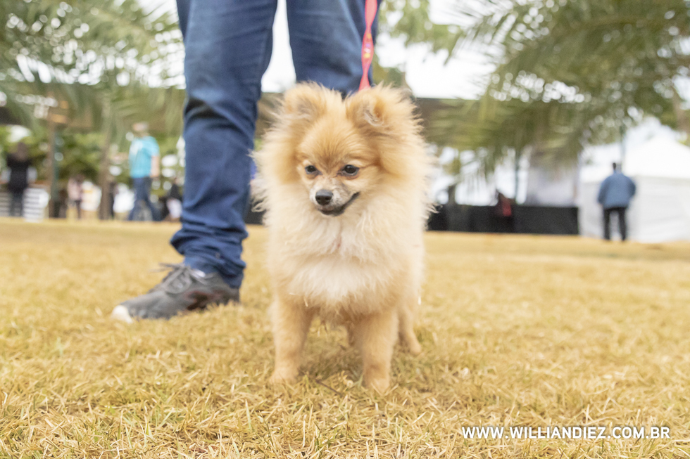 parada-pet-olhos-da-agua-ribeirao-preto