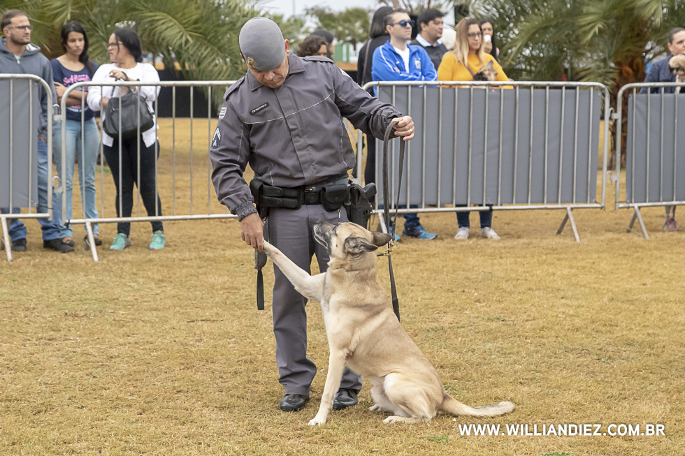 parada-pet-olhos-da-agua-ribeirao-preto