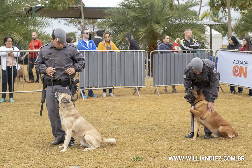 parada-pet-olhos-da-agua-ribeirao-preto