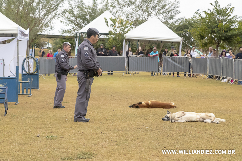 parada-pet-olhos-da-agua-ribeirao-preto