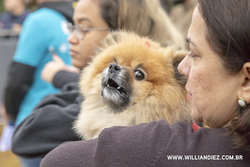 parada-pet-olhos-da-agua-ribeirao-preto