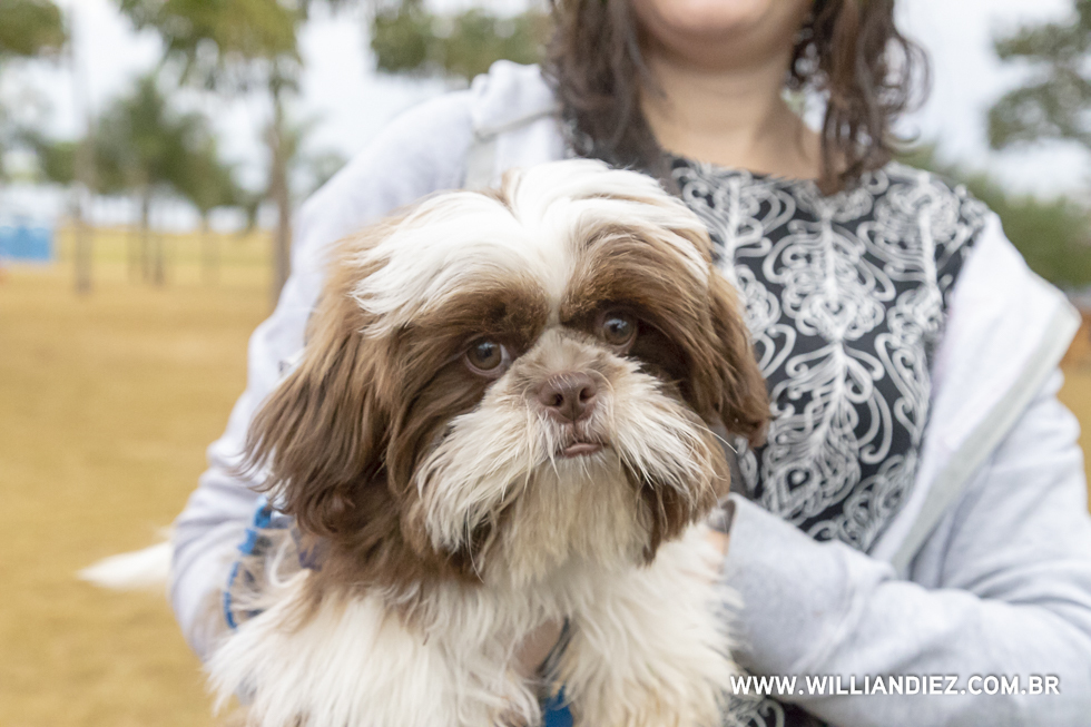 parada-pet-olhos-da-agua-ribeirao-preto