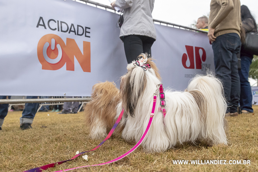 parada-pet-olhos-da-agua-ribeirao-preto