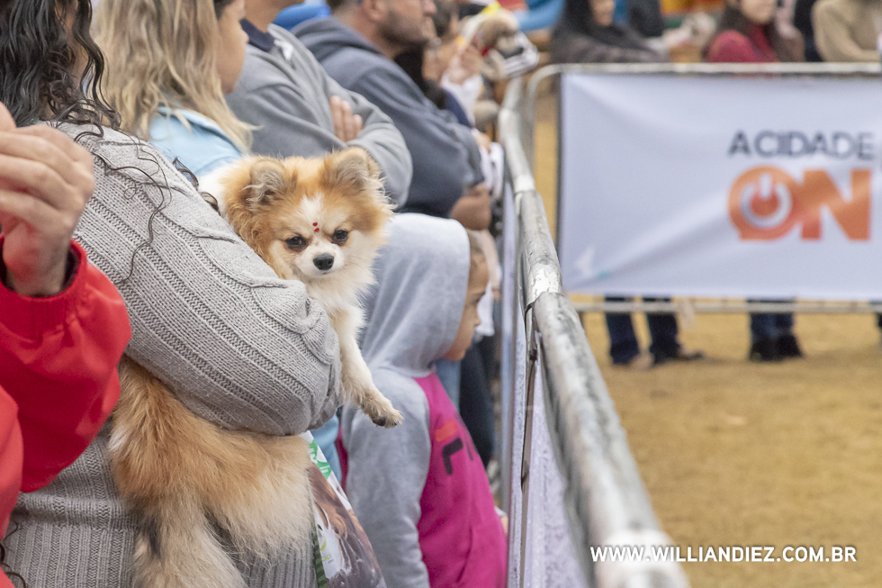 parada-pet-olhos-da-agua-ribeirao-preto
