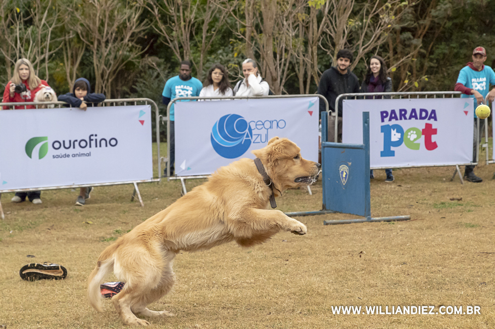 parada-pet-olhos-da-agua-ribeirao-preto