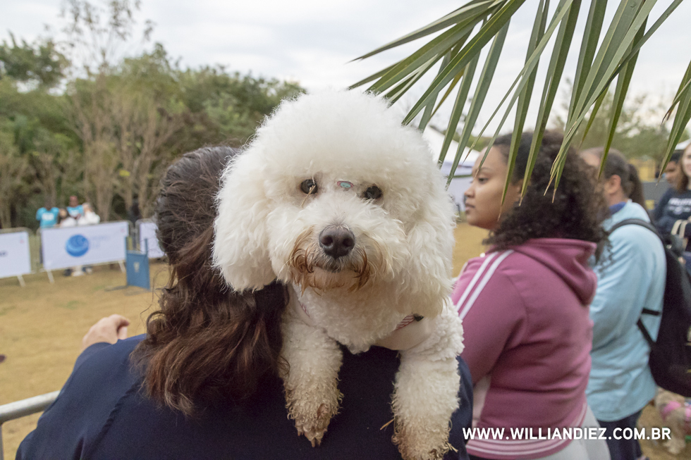 parada-pet-olhos-da-agua-ribeirao-preto