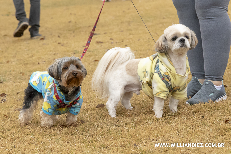 parada-pet-olhos-da-agua-ribeirao-preto