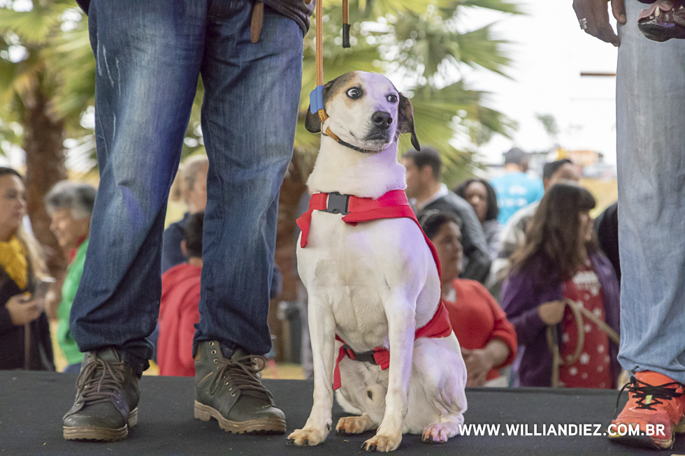 parada-pet-olhos-da-agua-ribeirao-preto