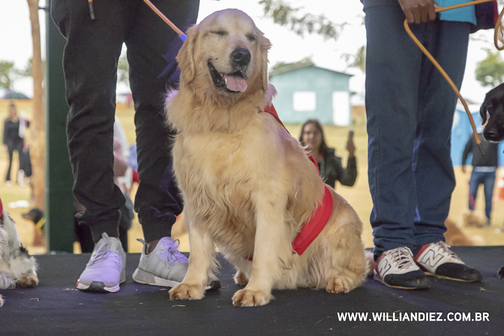 parada-pet-olhos-da-agua-ribeirao-preto