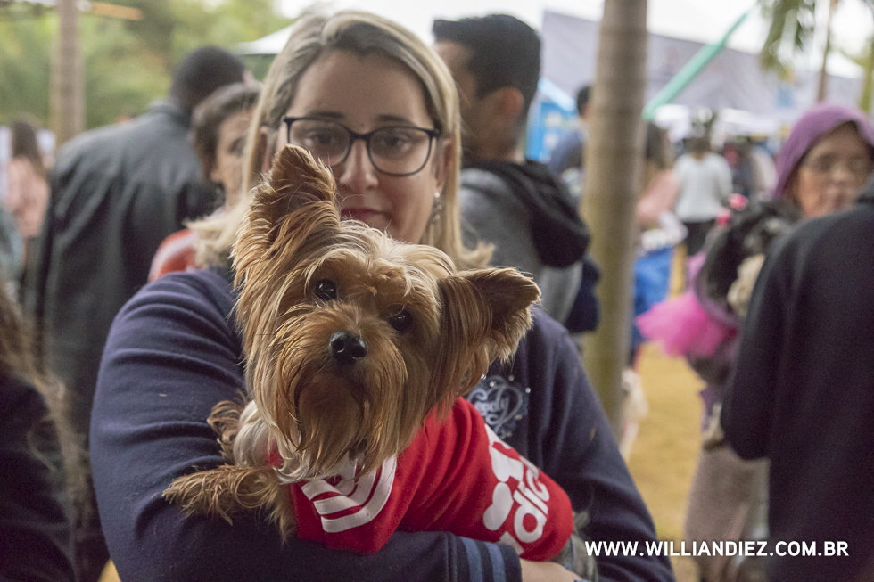 parada-pet-olhos-da-agua-ribeirao-preto