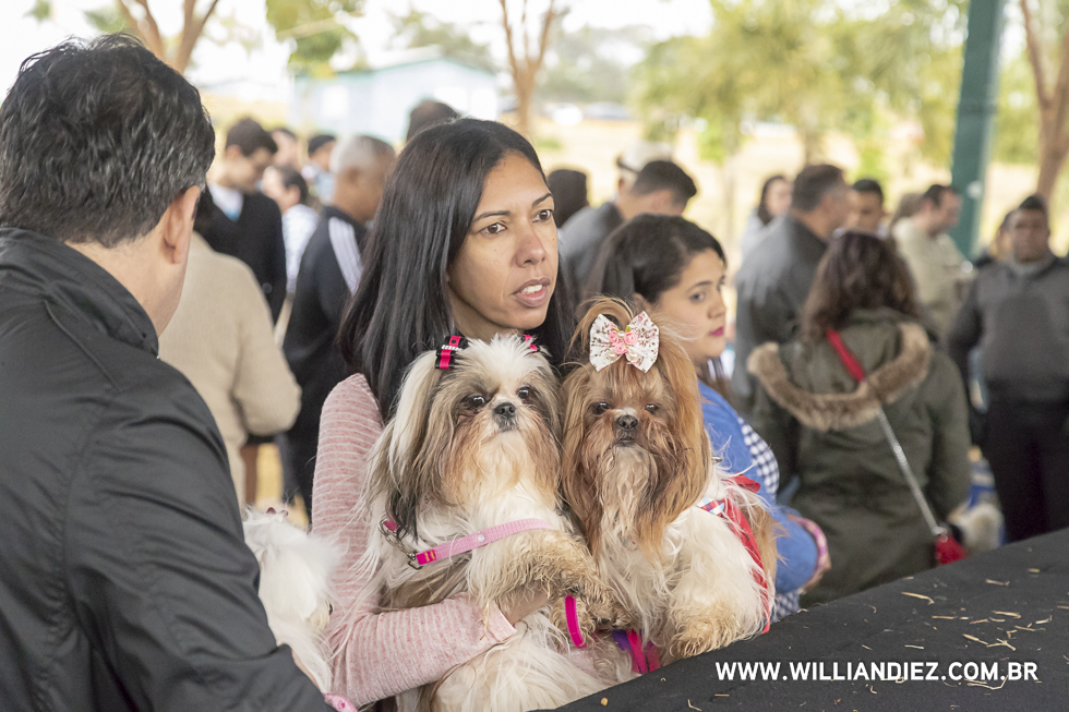parada-pet-olhos-da-agua-ribeirao-preto