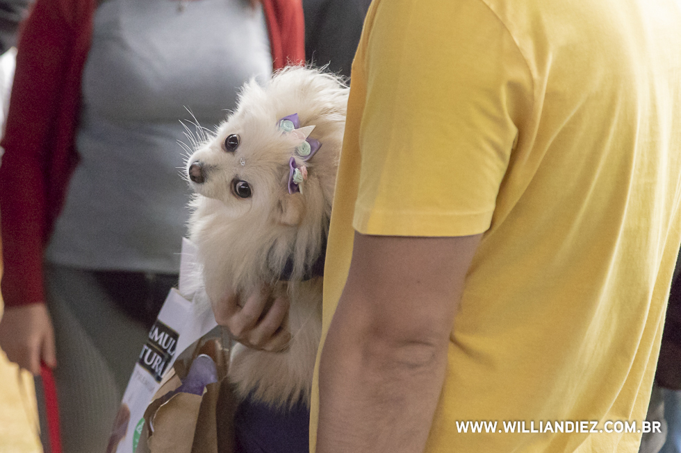 parada-pet-olhos-da-agua-ribeirao-preto