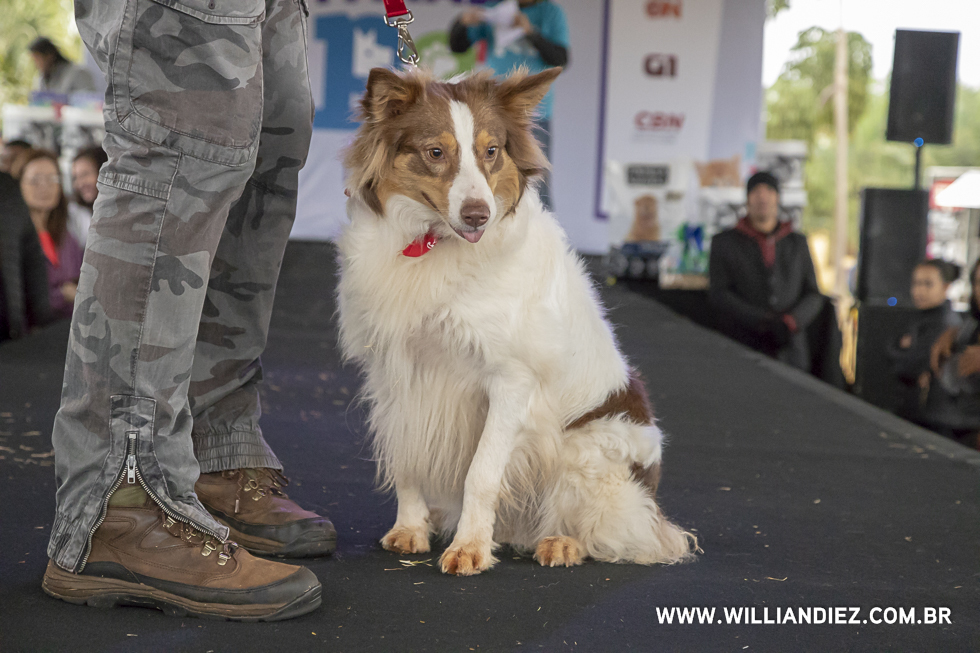 parada-pet-olhos-da-agua-ribeirao-preto