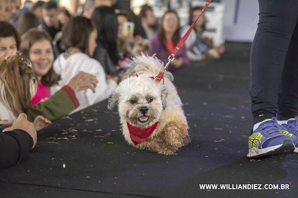 parada-pet-olhos-da-agua-ribeirao-preto