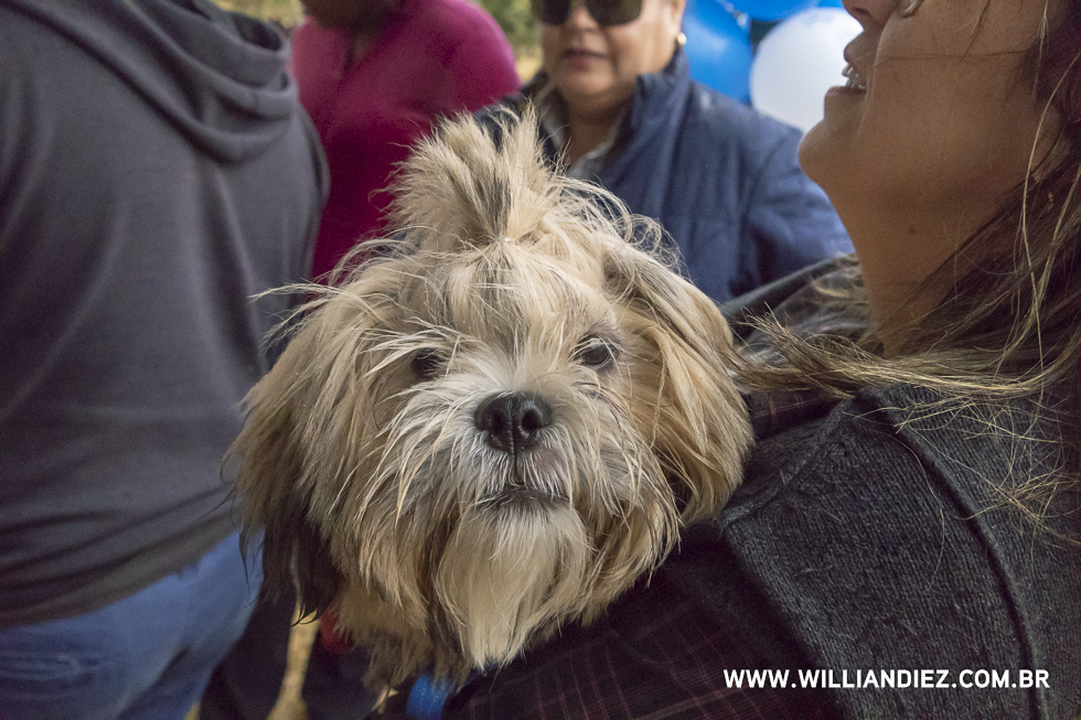 parada-pet-olhos-da-agua-ribeirao-preto