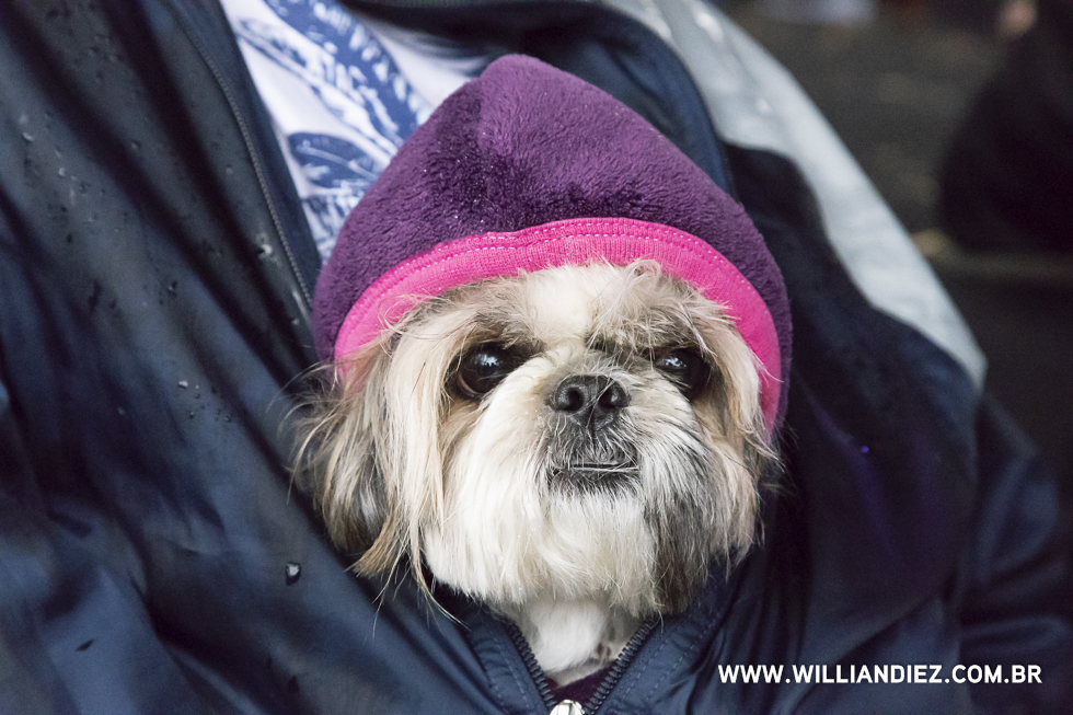 parada-pet-olhos-da-agua-ribeirao-preto