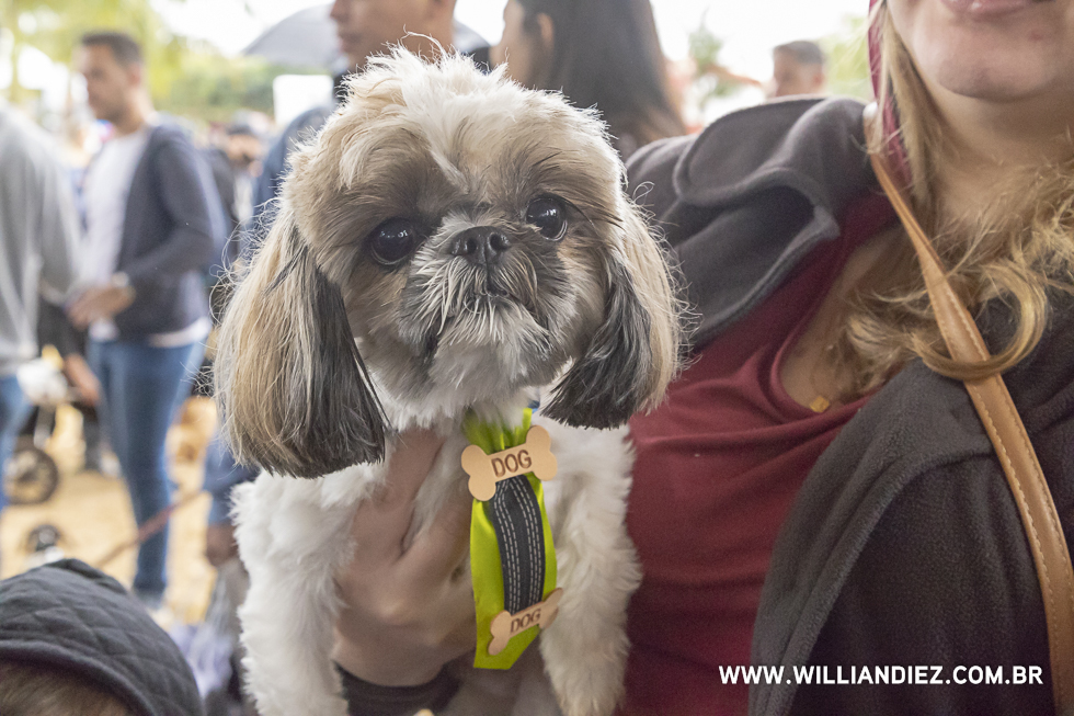 parada-pet-olhos-da-agua-ribeirao-preto