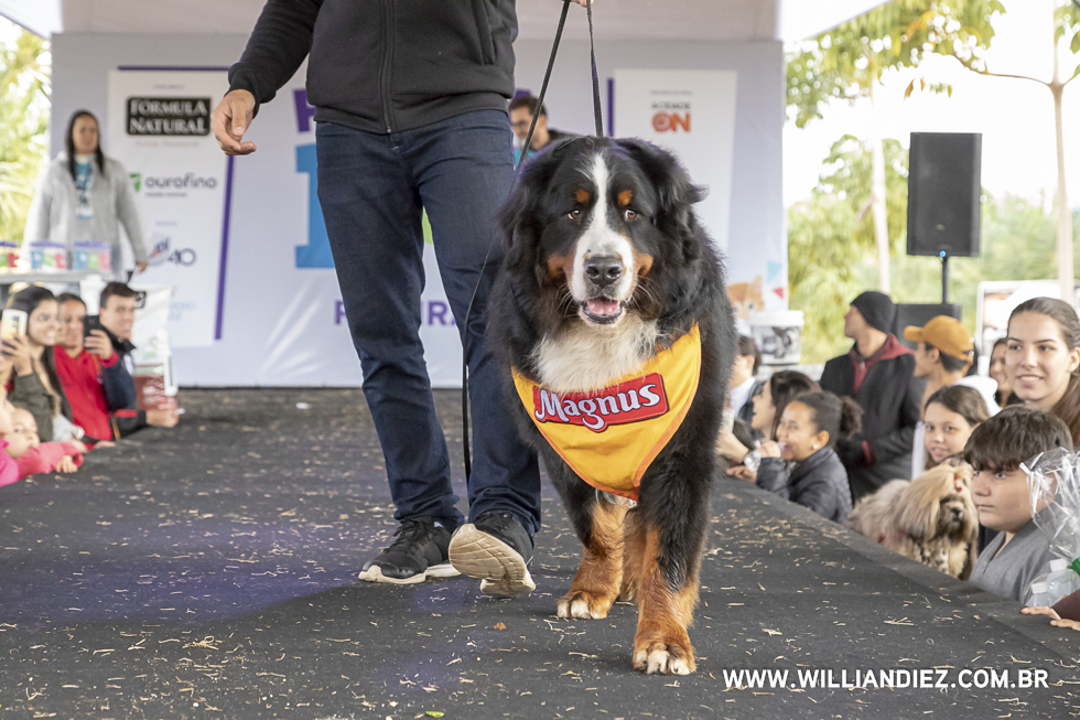 parada-pet-olhos-da-agua-ribeirao-preto