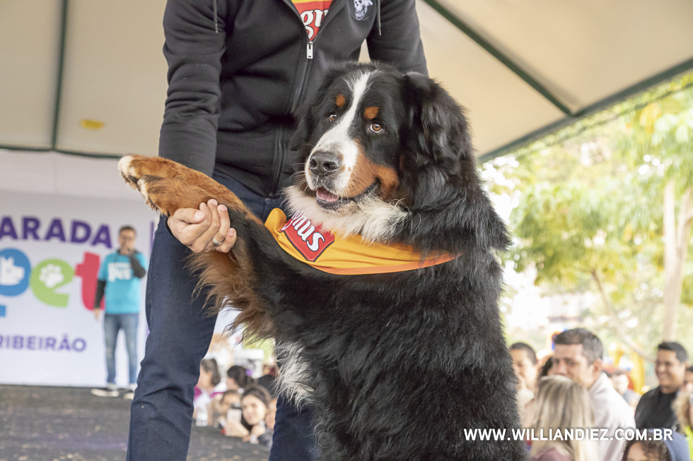 parada-pet-olhos-da-agua-ribeirao-preto
