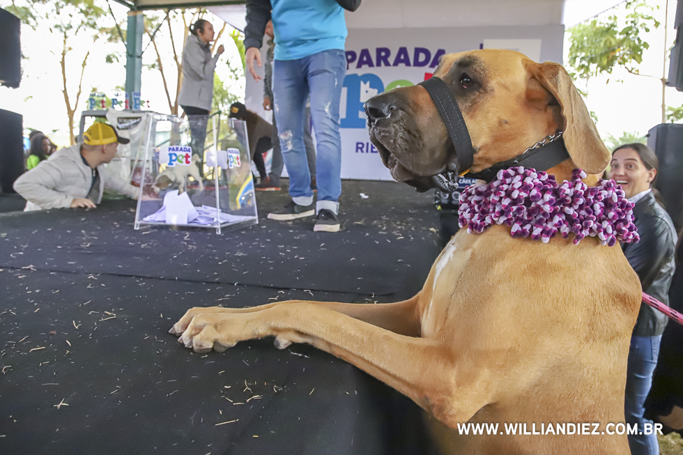 parada-pet-olhos-da-agua-ribeirao-preto