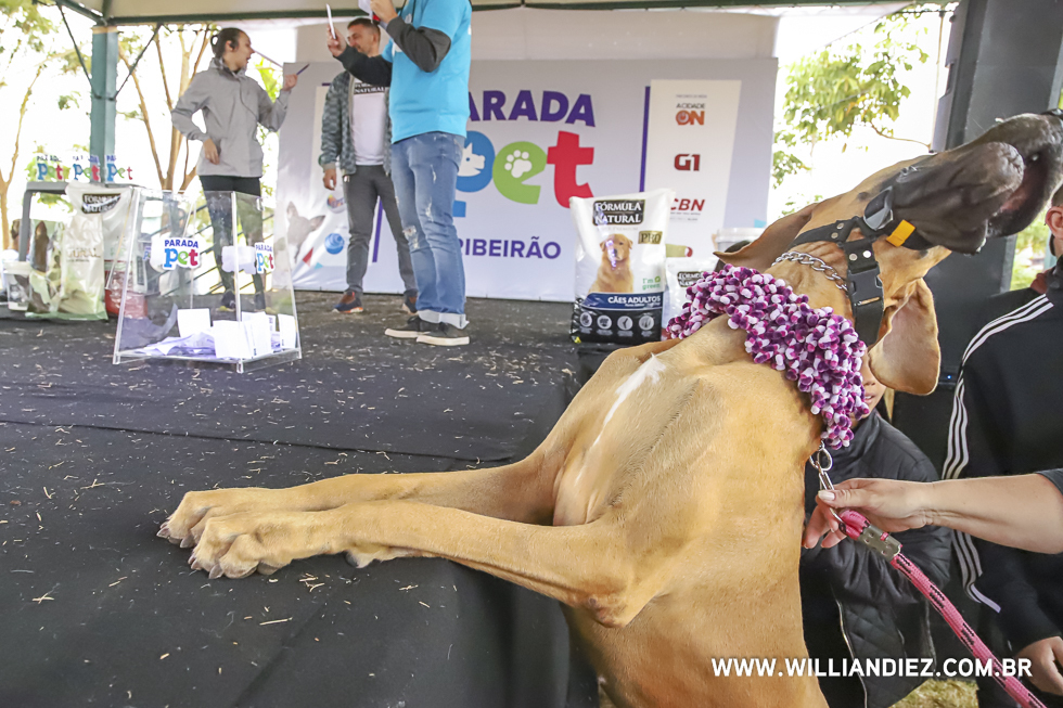 parada-pet-olhos-da-agua-ribeirao-preto