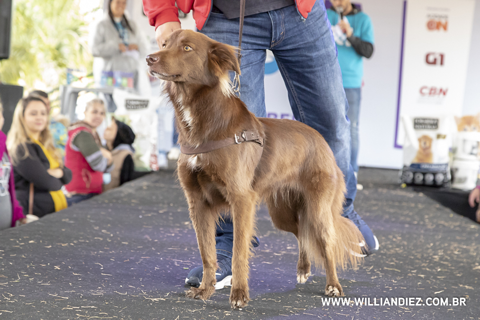 parada-pet-olhos-da-agua-ribeirao-preto