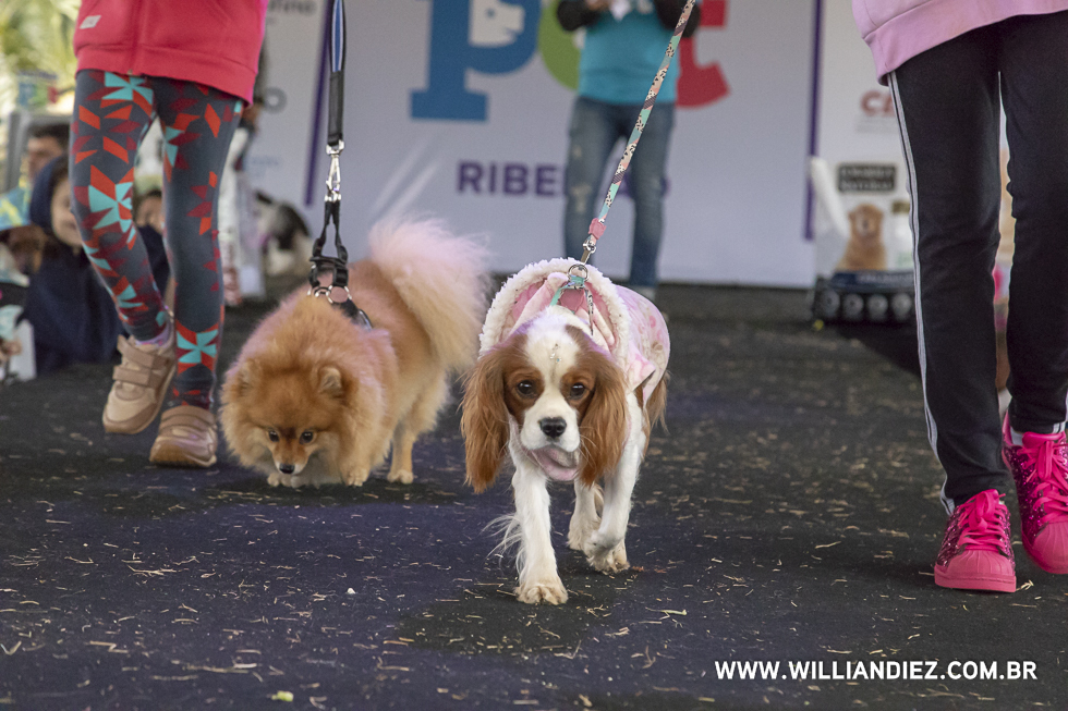 parada-pet-olhos-da-agua-ribeirao-preto