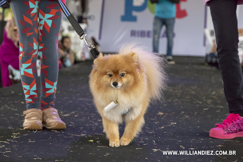 parada-pet-olhos-da-agua-ribeirao-preto