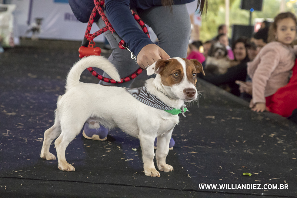 parada-pet-olhos-da-agua-ribeirao-preto