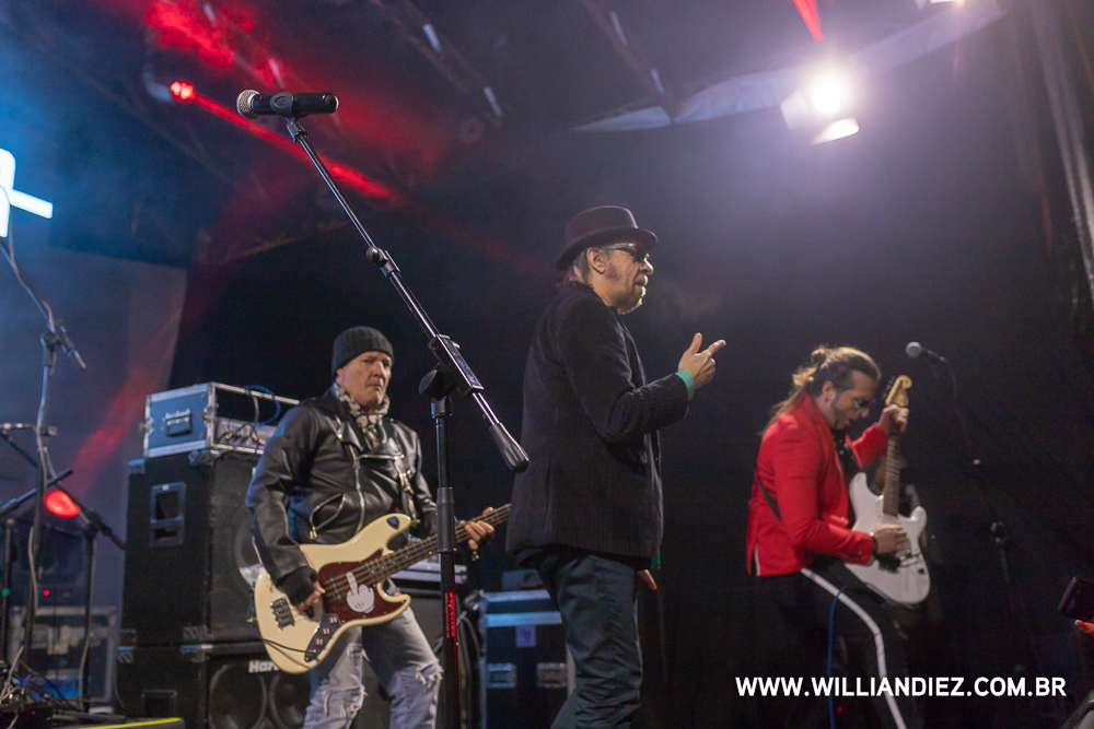 banda-camisa-de-venus