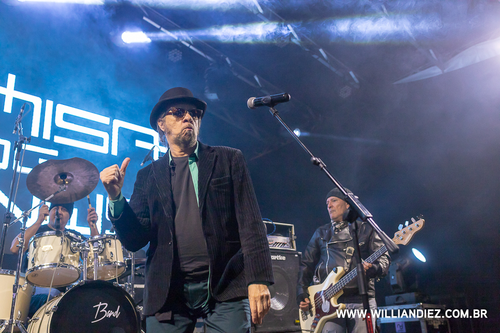 banda-camisa-de-venus