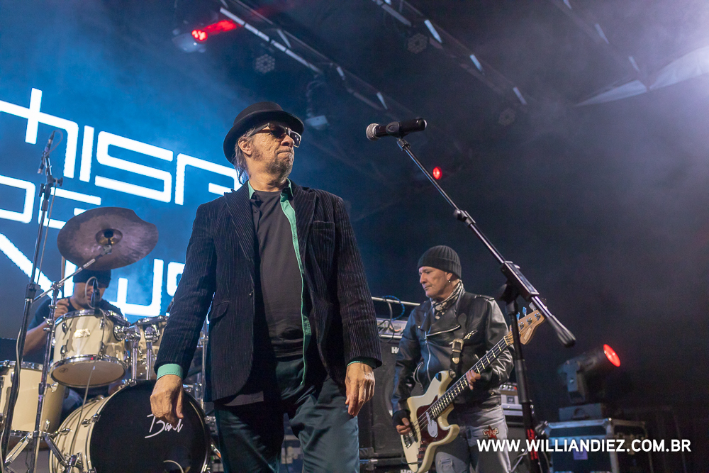 banda-camisa-de-venus