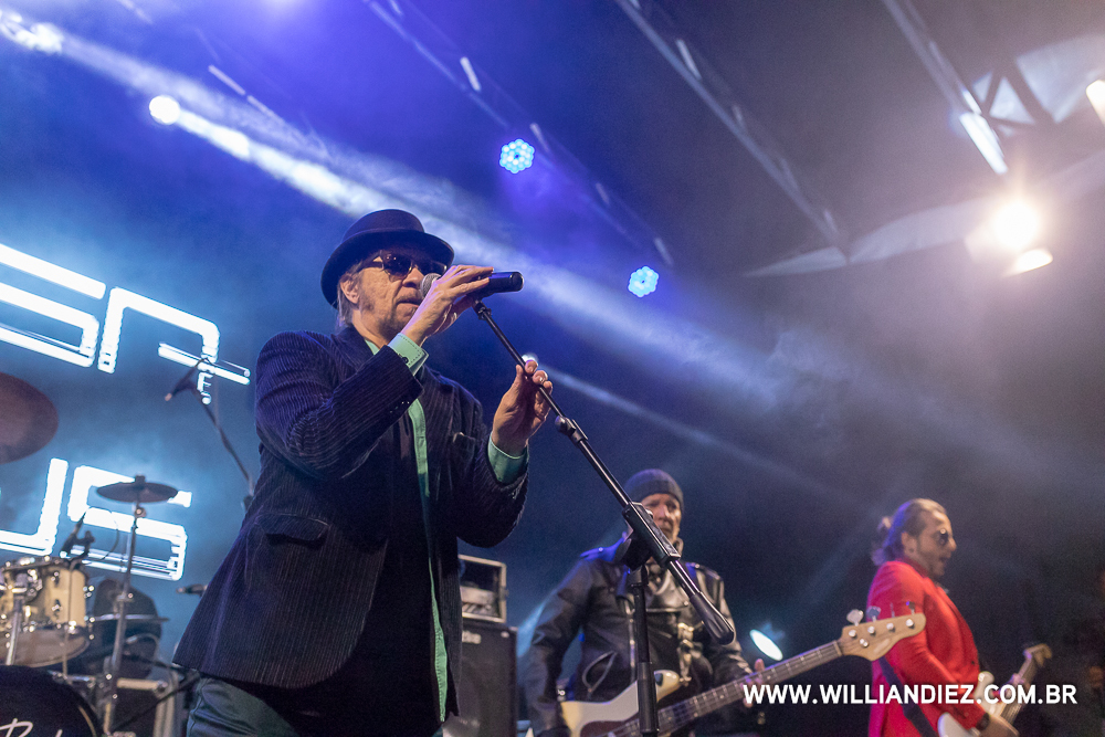 banda-camisa-de-venus