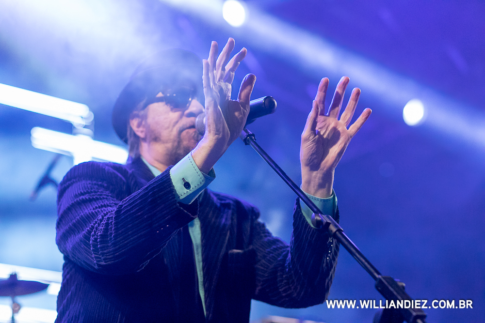 banda-camisa-de-venus