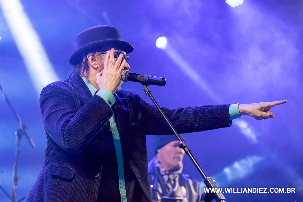 banda-camisa-de-venus