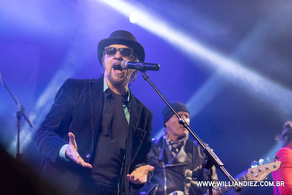 banda-camisa-de-venus