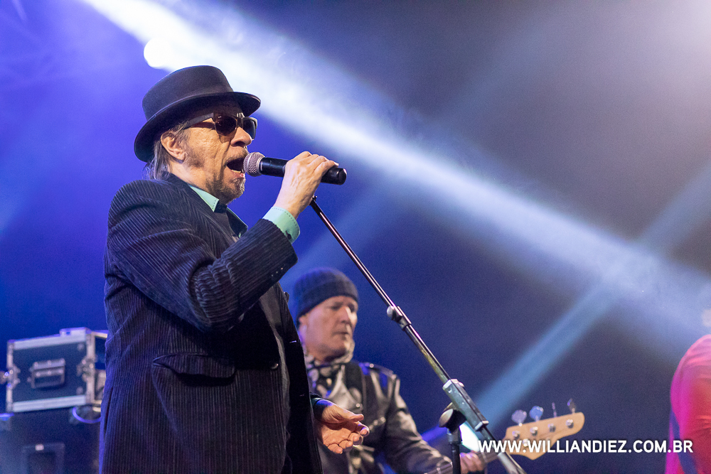 banda-camisa-de-venus